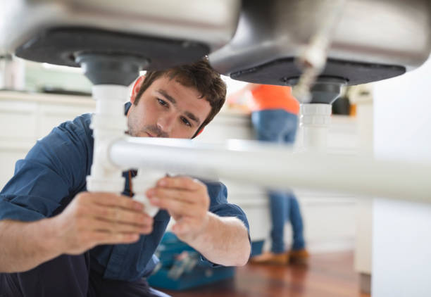 Best Local Plumber Services  in Albany, LA