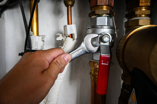 Best Clogged Drain Plumber  in Albany, LA